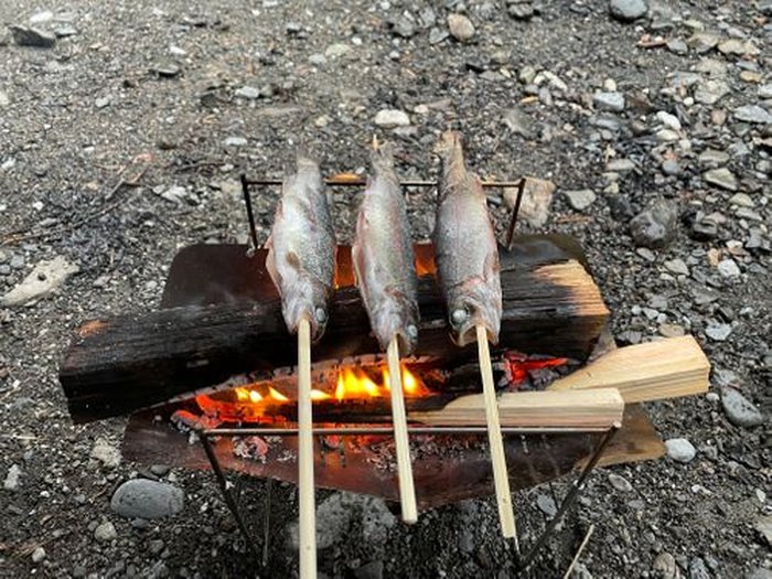 串に刺したマス3尾を焚火で塩焼きにしている様子
